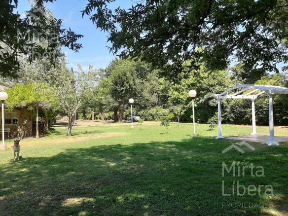 Quinta – Arana