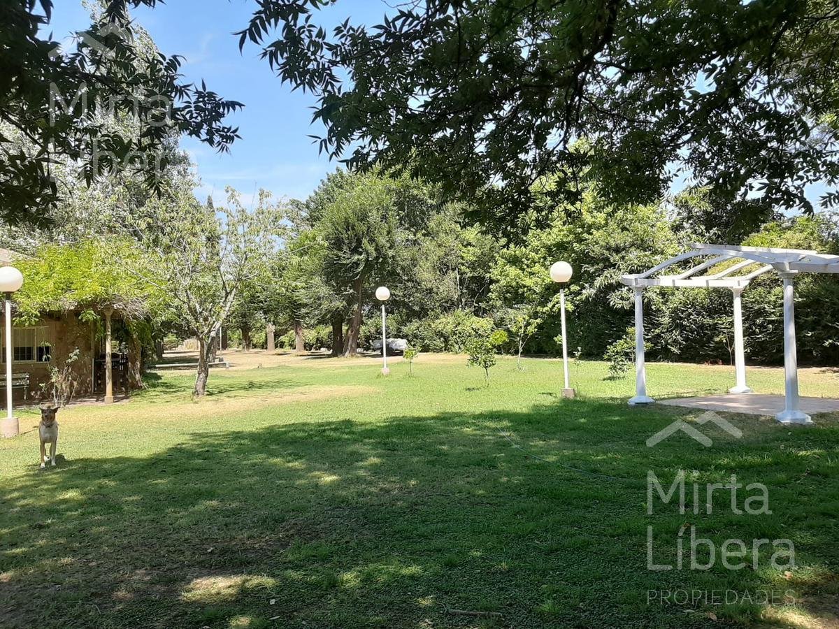 Quinta – Arana