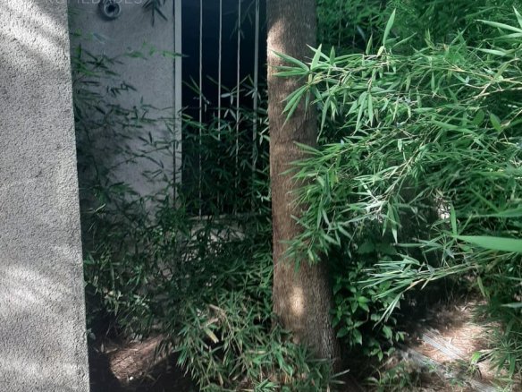 Casa en Villa Parque Sicardi